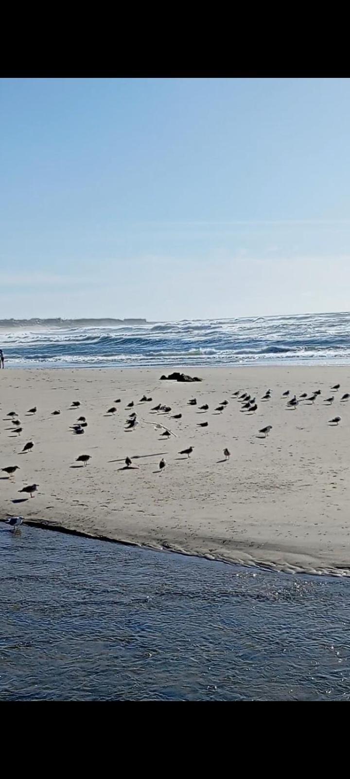 Atico Maravilloso En Cangas , Vigo Екстер'єр фото